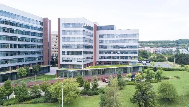 Services & traitements proposés